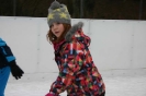 Eislaufen 26.1.2018_25