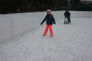 Eislaufen 26.1.2018_94
